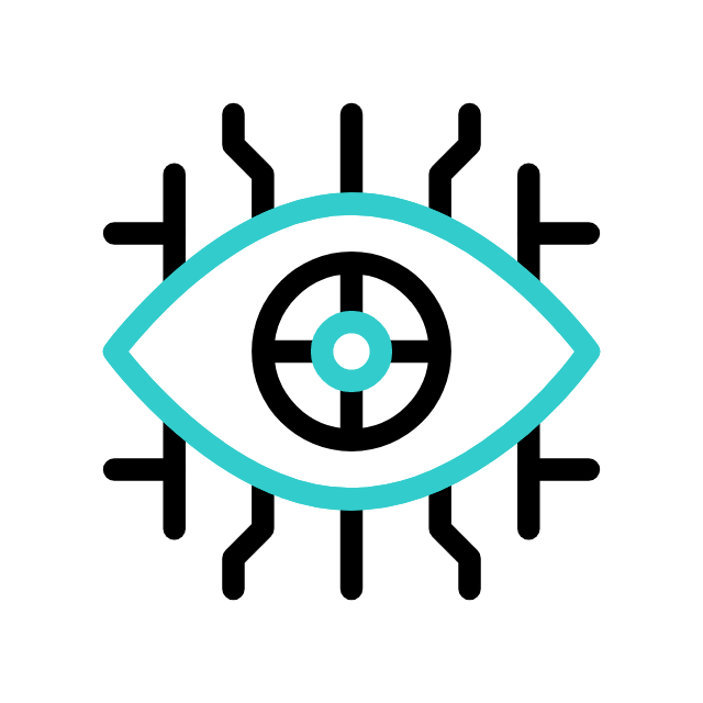 Vision